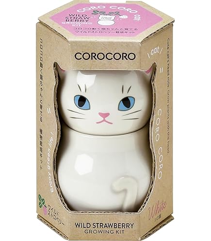 Amazon.co.jp: ITANSE 栽培セット コロコロキャット ワイルド